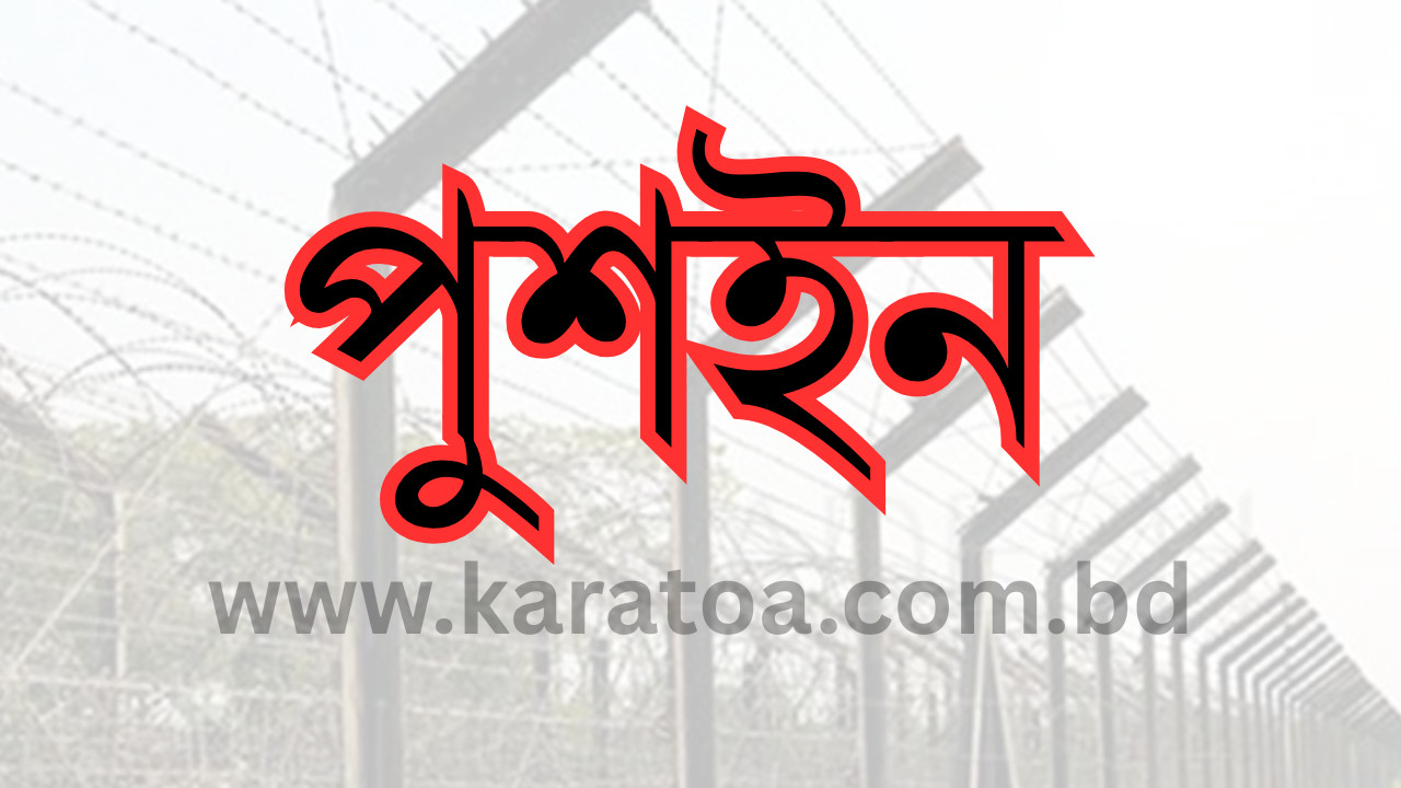 বাংলাদেশি সন্দেহে ১৯ জনকে পুশইন করল ভারত